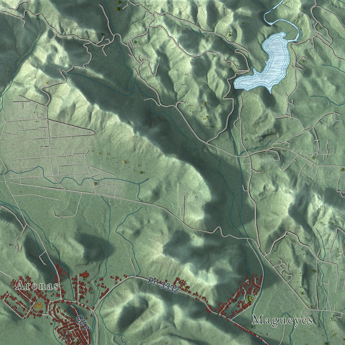 Close-up of the map of Guánica, Puerto Rico print showing street and building detail