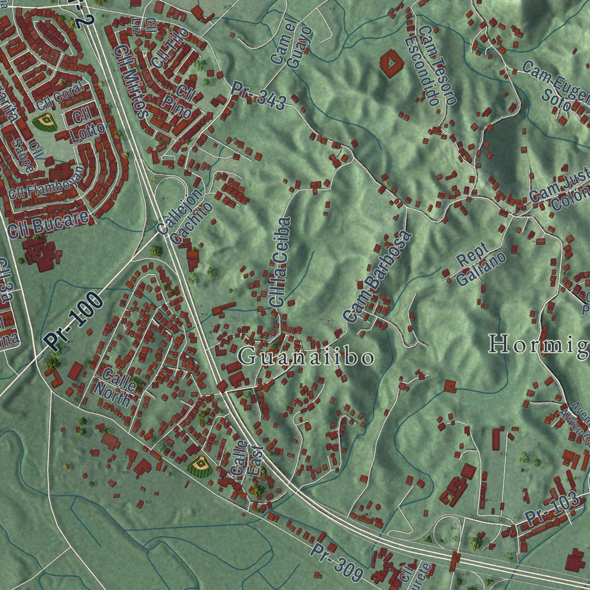 Close-up of the map of Hormigueros, Puerto Rico print showing street and building detail