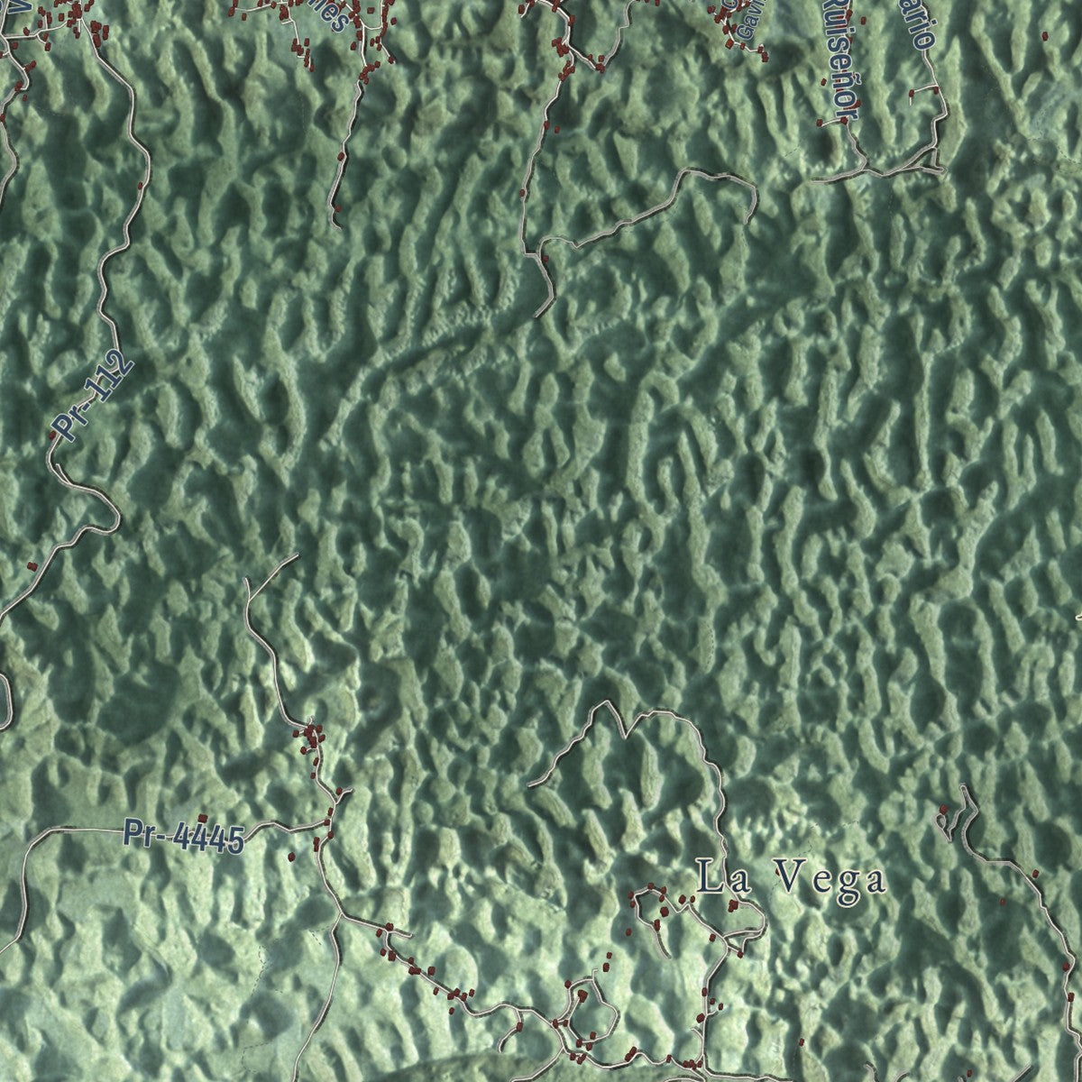 Close-up of the map of Isabela, Puerto Rico print showing street and building detail