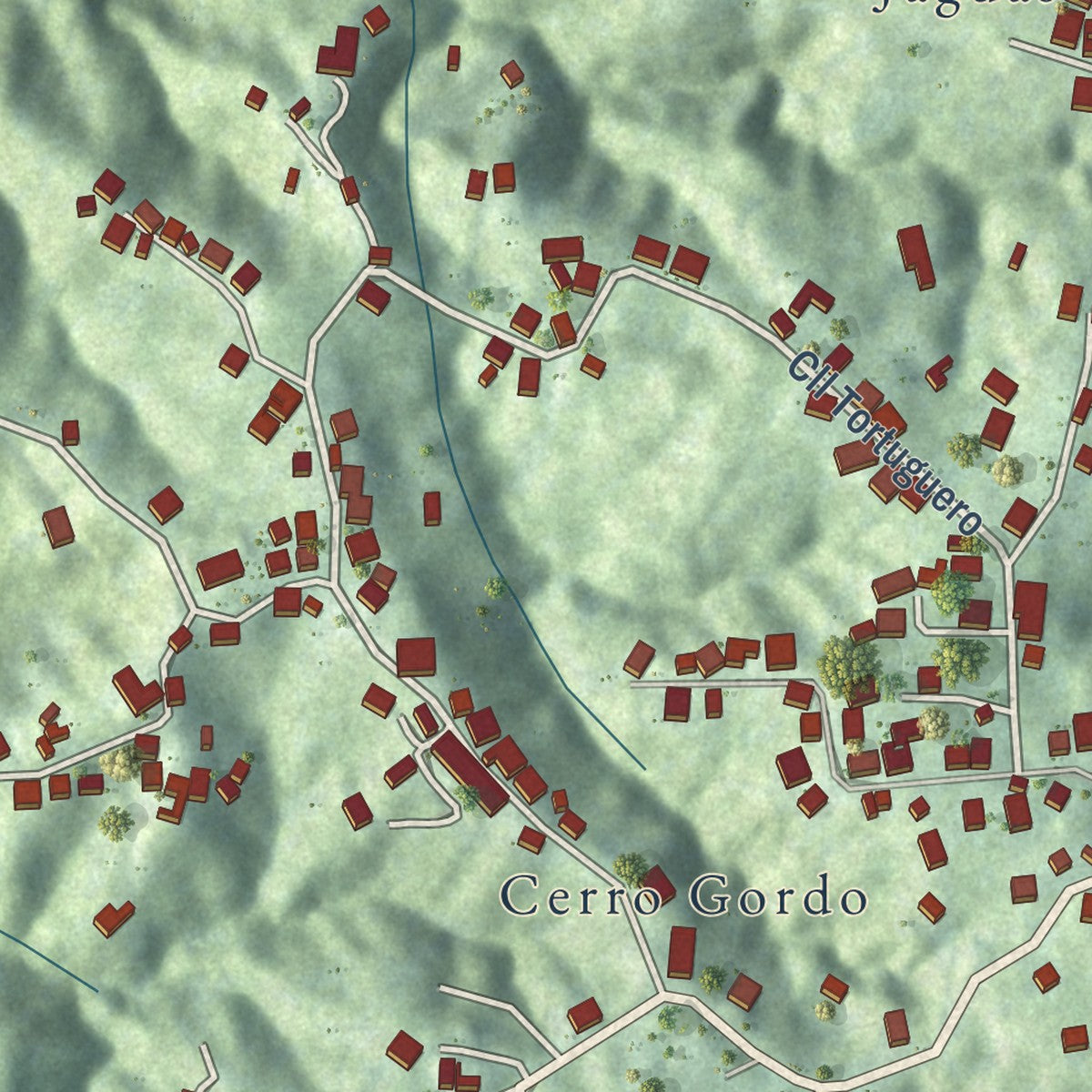 Close-up of the map of Jaguas, Puerto Rico print showing street and building detail