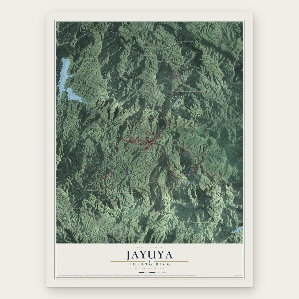 Jayuya, Puerto Rico map print, the full design