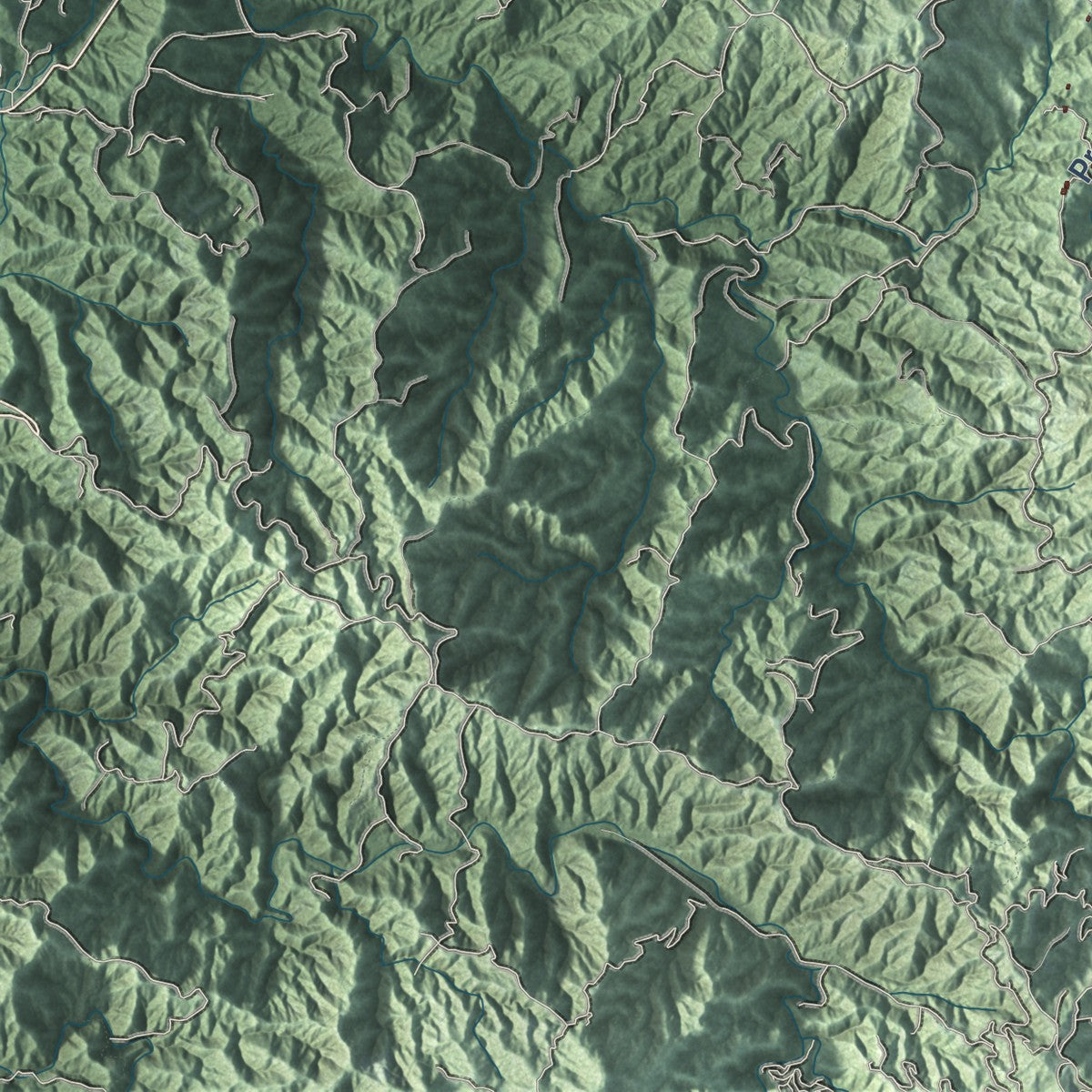 Close-up of the map of Lares, Puerto Rico print showing street and building detail