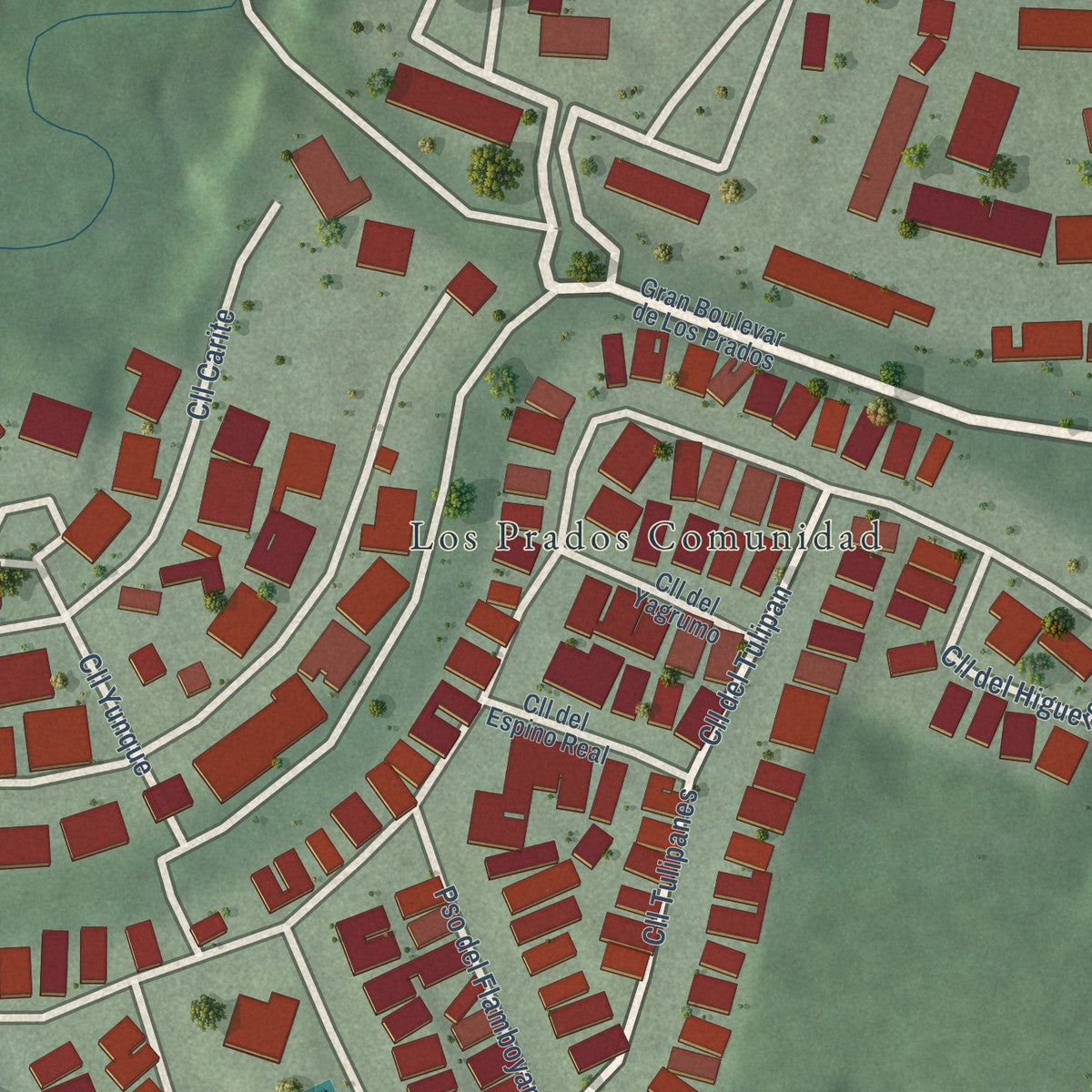 Close-up of the map of Los Prados, Puerto Rico print showing street and building detail