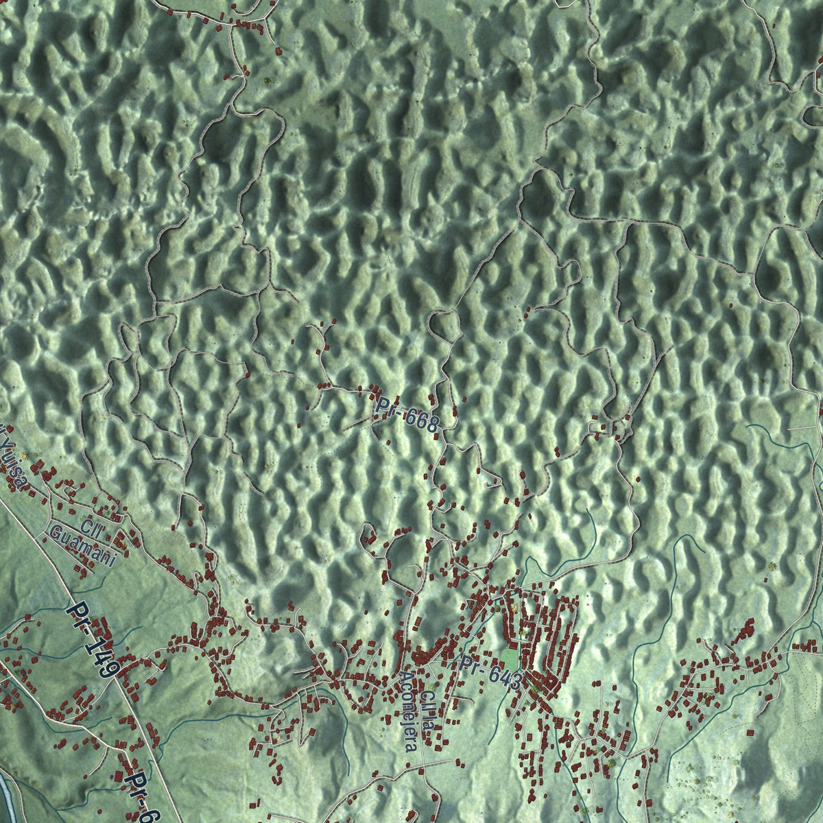 Close-up of the map of Manatí, Puerto Rico print showing street and building detail