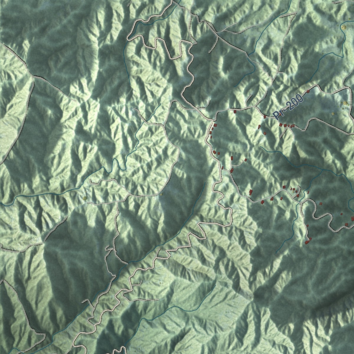 Close-up of the map of Maunabo, Puerto Rico print showing street and building detail