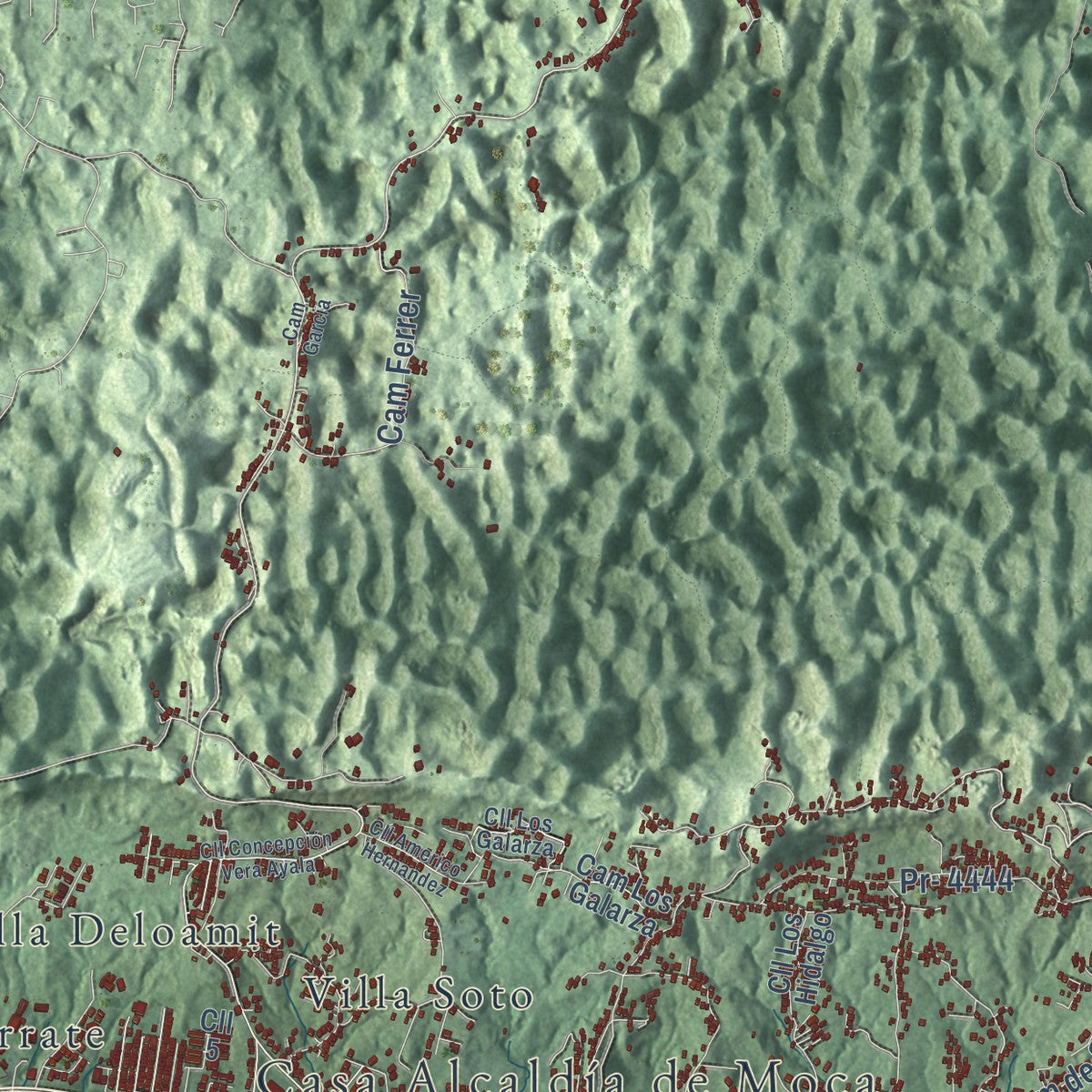 Close-up of the map of Moca, Puerto Rico print showing street and building detail