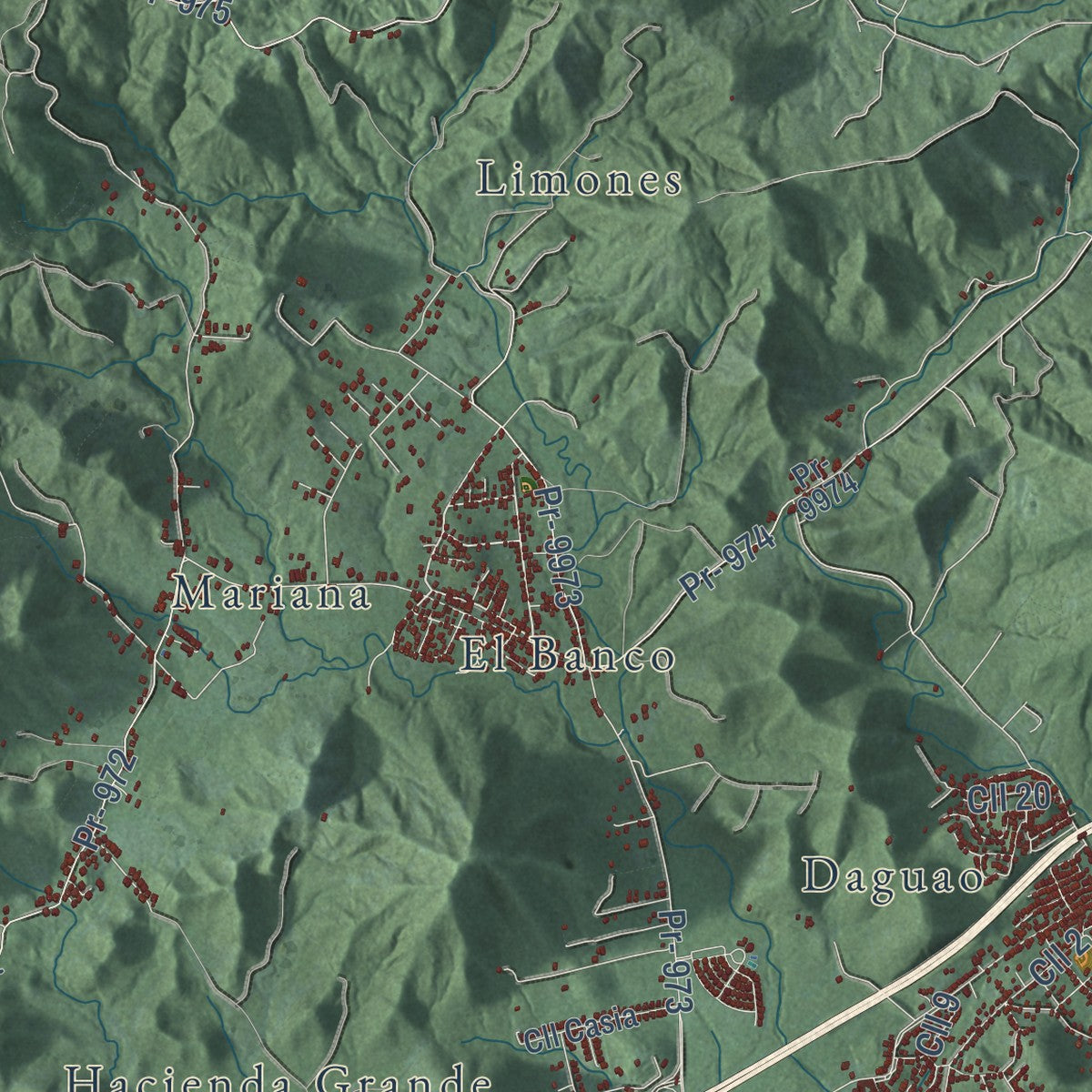 Close-up of the map of Naguabo, Puerto Rico print showing street and building detail