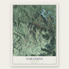 Naranjito, Puerto Rico map print, the full design