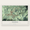 Palomas, Comerío Municipio, Puerto Rico map print, the full design