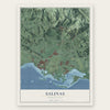 Salinas, Puerto Rico map print, the full design