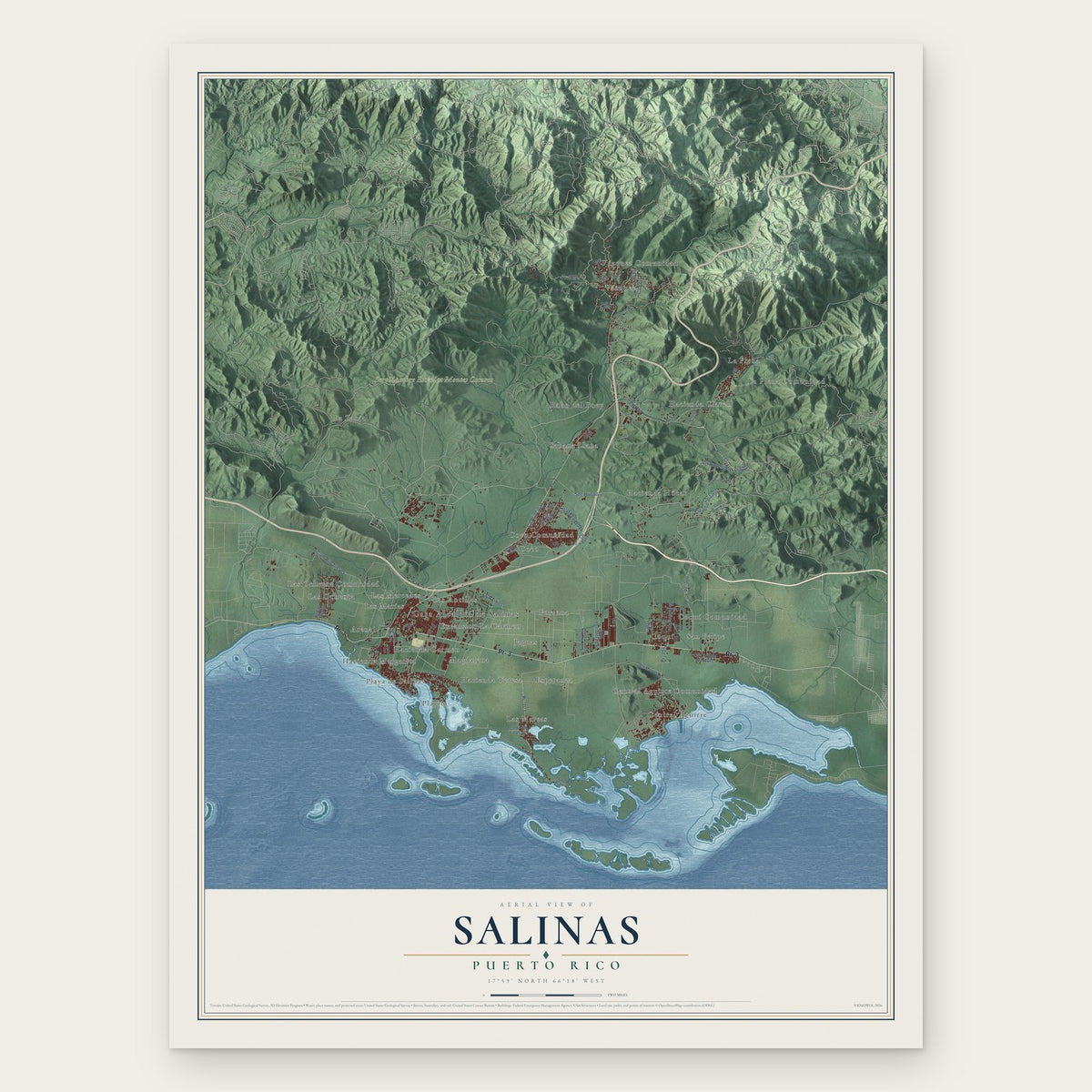 Salinas, Puerto Rico map print, the full design