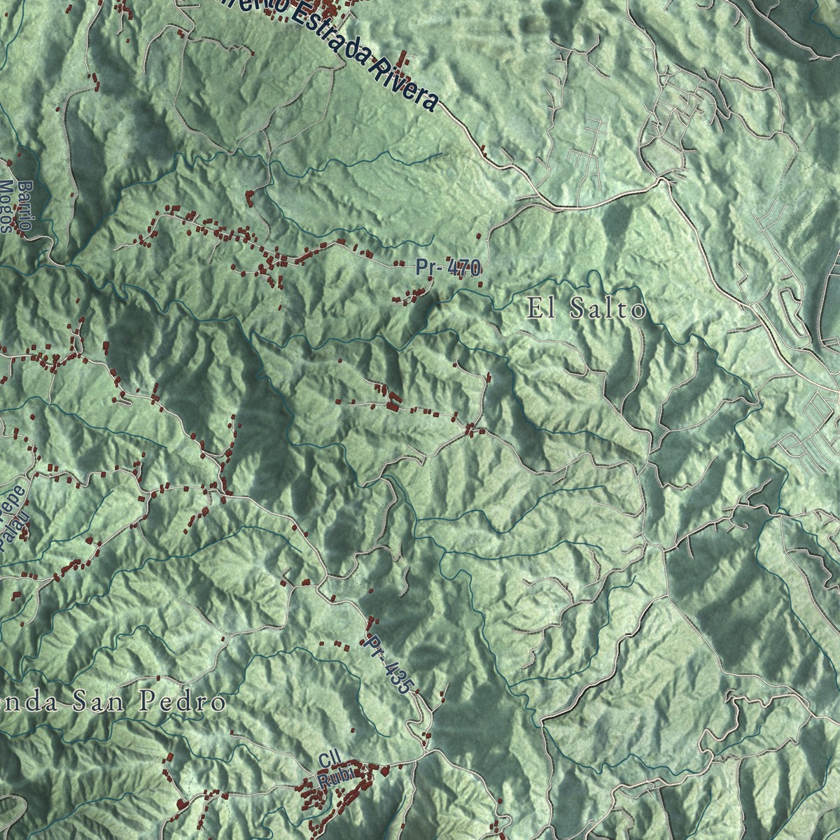 Close-up of the map of San Sebastián, Puerto Rico print showing street and building detail