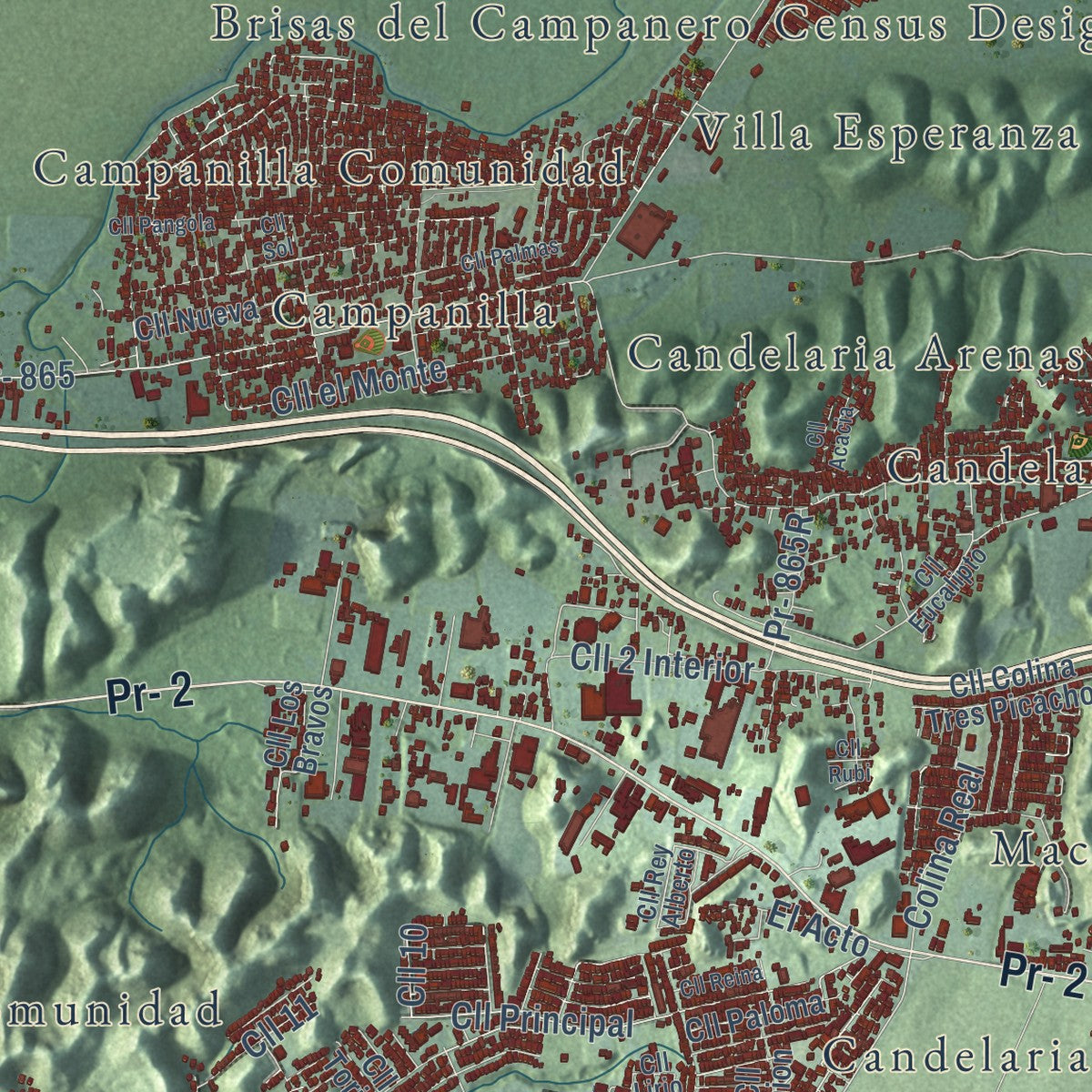 Close-up of the map of Toa Baja, Puerto Rico print showing street and building detail