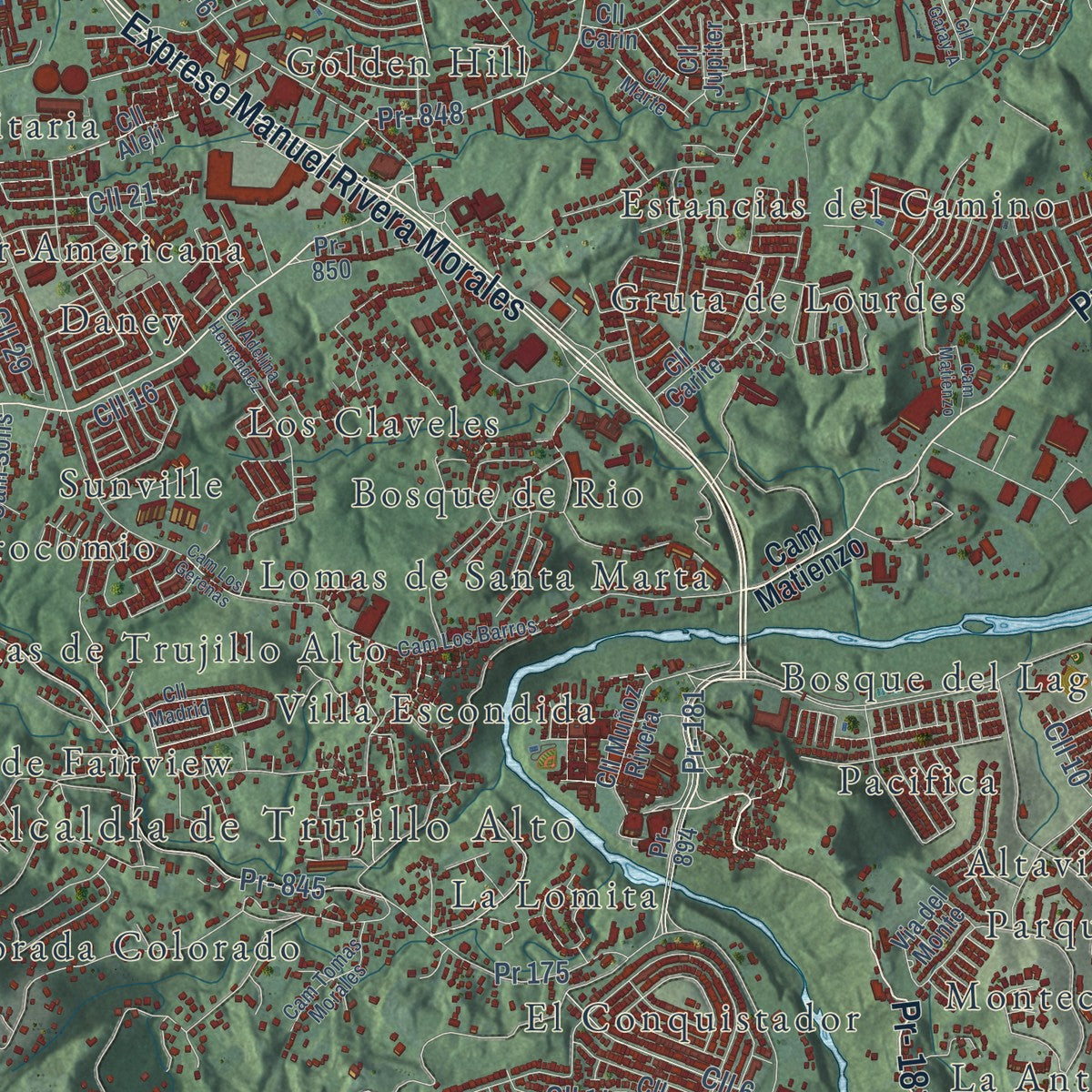 Close-up of the map of Trujillo Alto, Puerto Rico print showing street and building detail