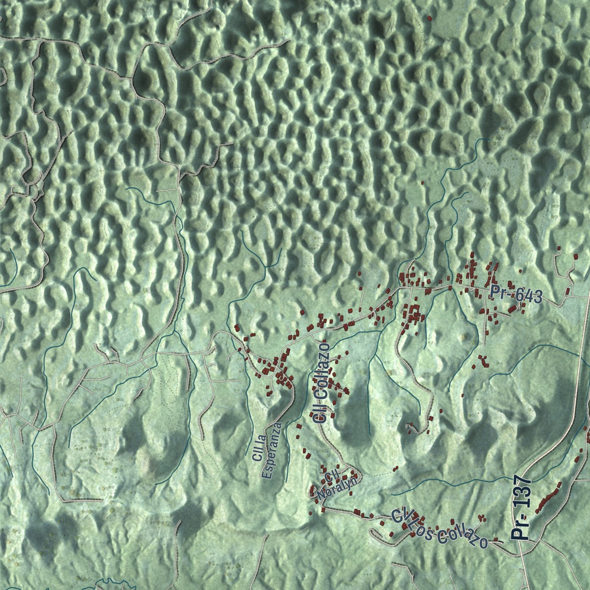 Close-up of the map of Vega Baja, Puerto Rico print showing street and building detail