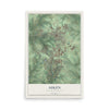 Map of Aiken, South Carolina, 12 x 18 inch unframed archival matte print