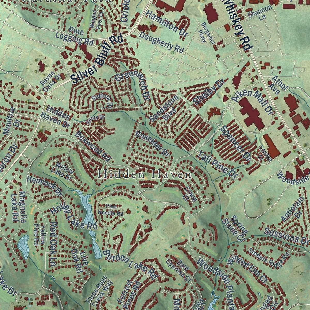 Close-up of the map of Aiken, South Carolina print showing street and building detail