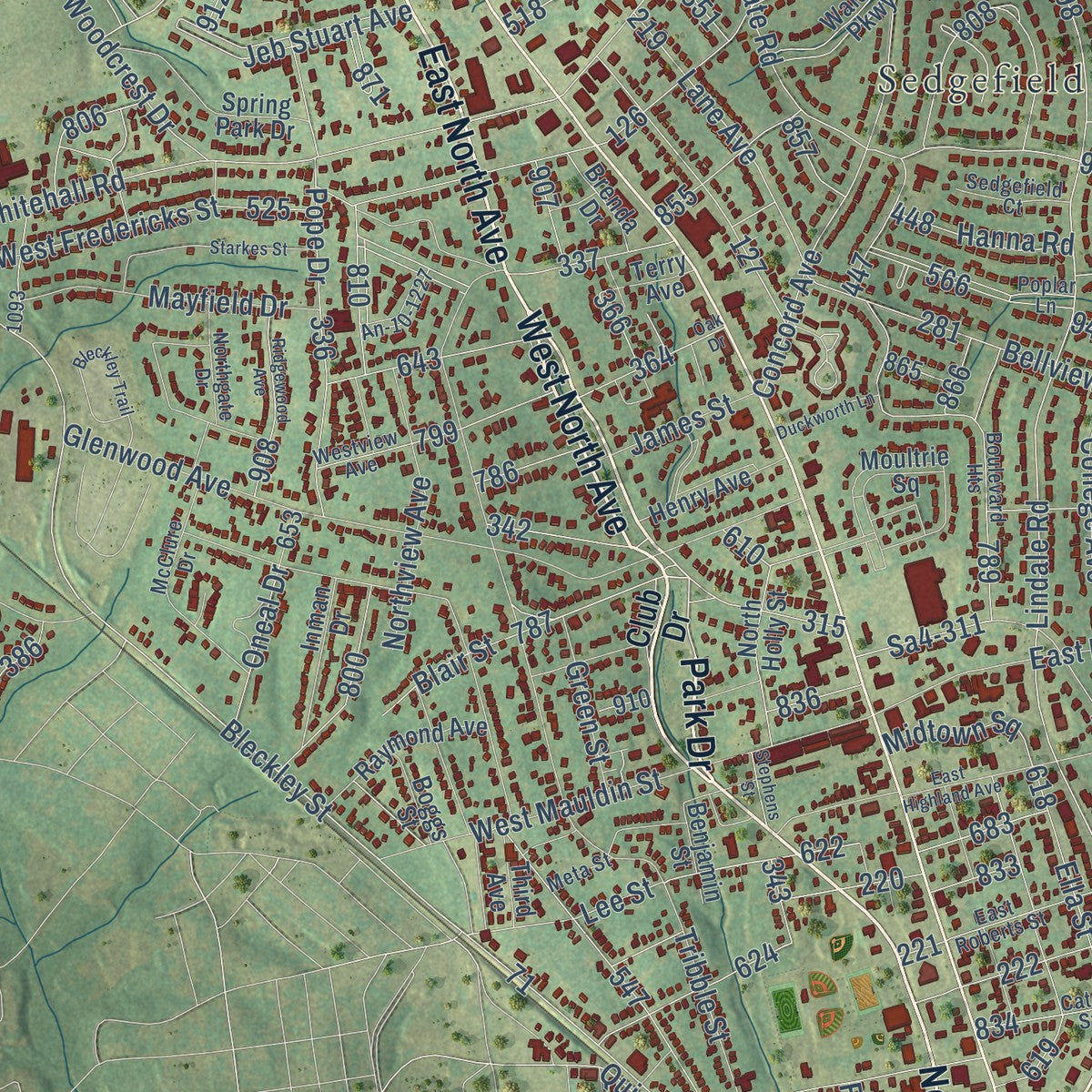 Close-up of the map of Anderson, South Carolina print showing street and building detail