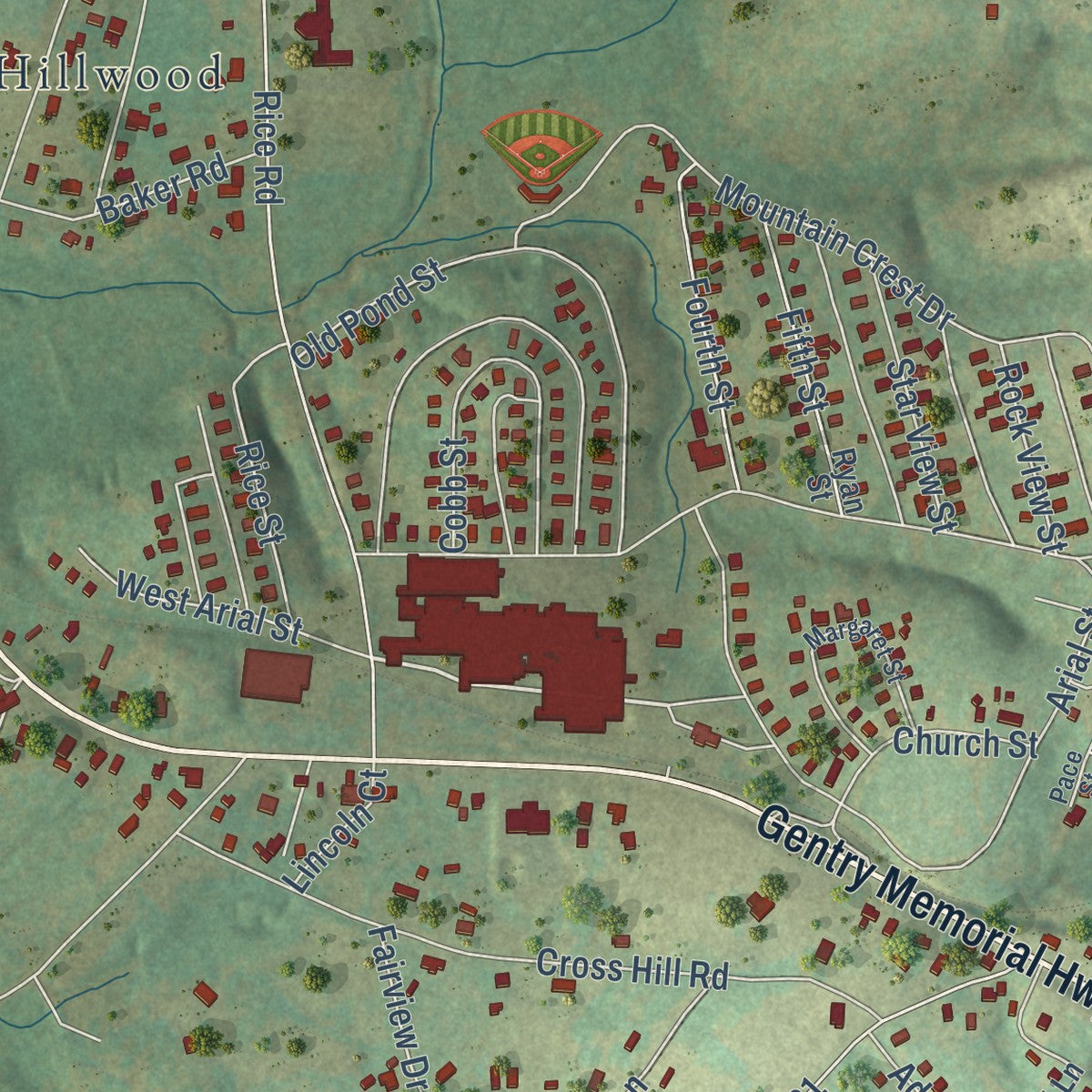 Close-up of the map of Arial, South Carolina print showing street and building detail