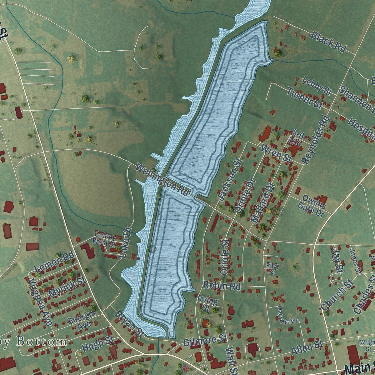 Close-up of the map of Barnwell, South Carolina print showing street and building detail