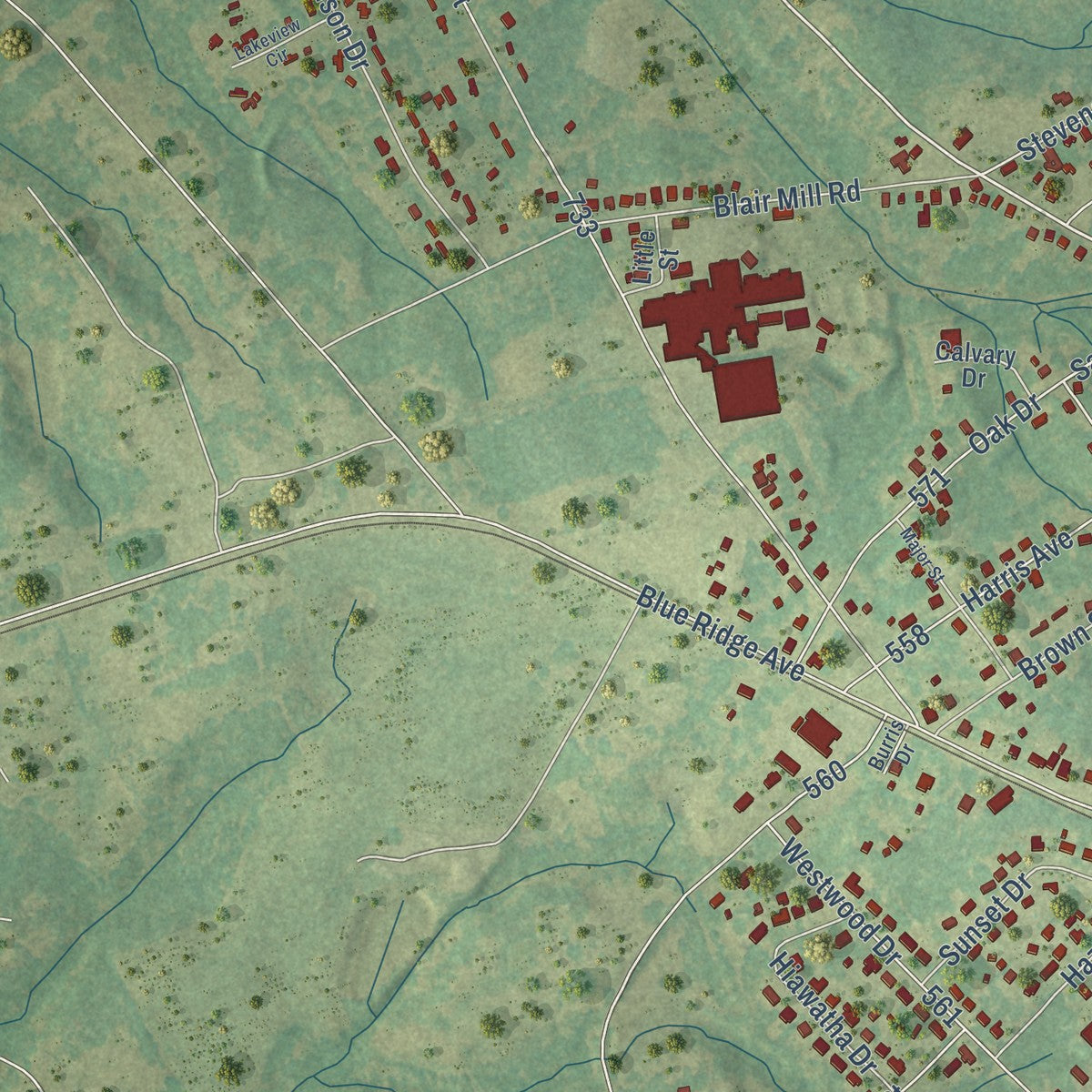 Second close-up of the map of Belton, South Carolina print showing more streets and buildings