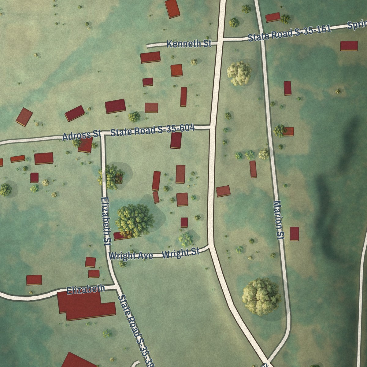 Close-up of the map of Blenheim, South Carolina print showing street and building detail