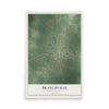 Map of Branchville, South Carolina, 12 x 18 inch unframed archival matte print