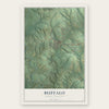 Buffalo, South Carolina map print, the full design