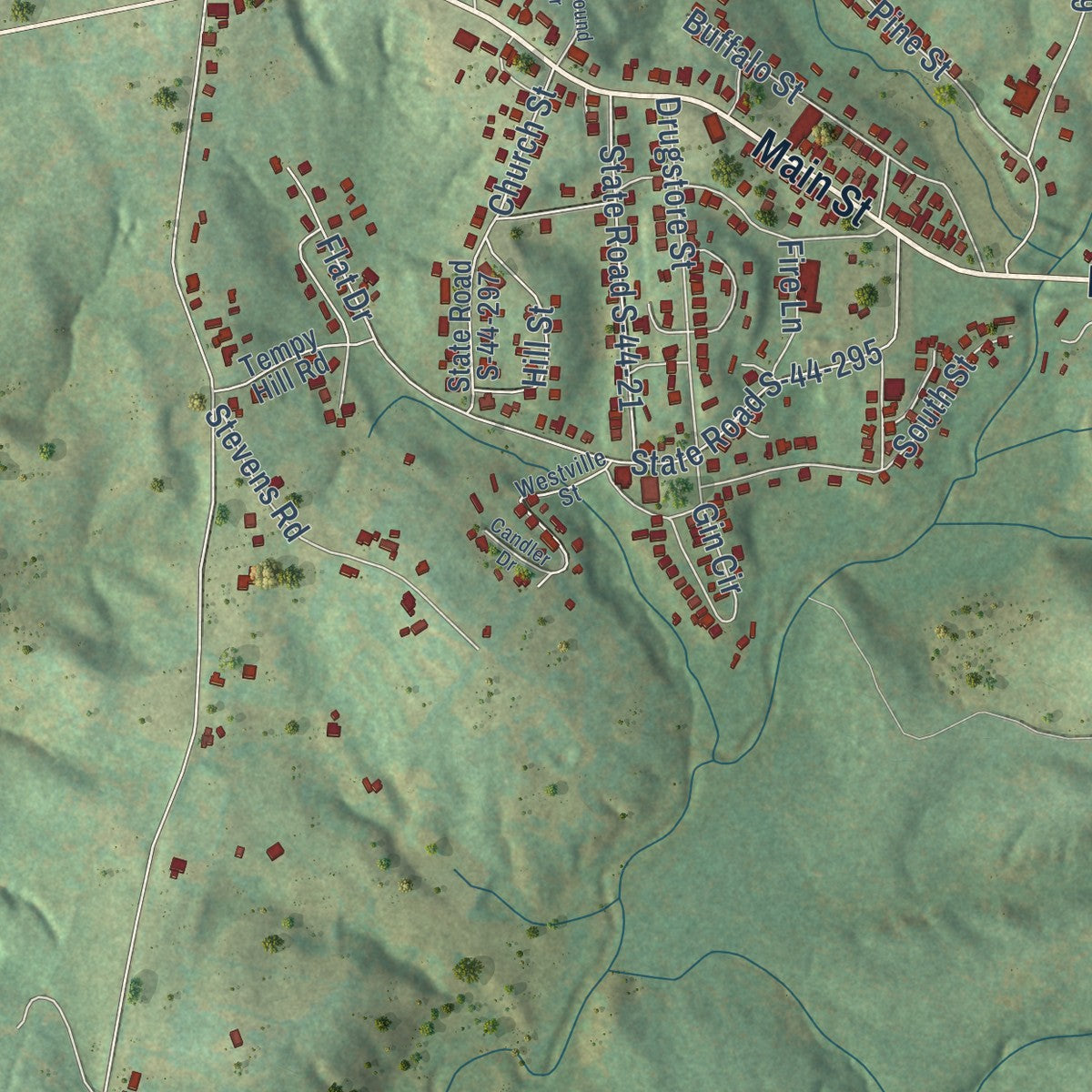 Close-up of the map of Buffalo, South Carolina print showing street and building detail