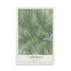 Map of Campobello, South Carolina, 12 x 18 inch unframed archival matte print