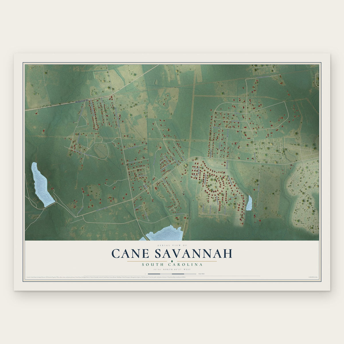 Cane Savannah, South Carolina map print, the full design