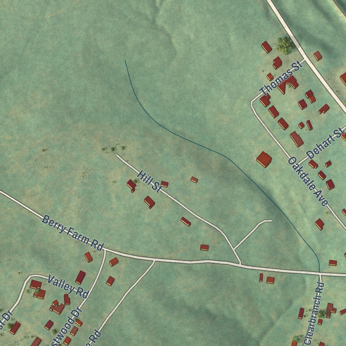 Second close-up of the map of Carlisle, South Carolina print showing more streets and buildings