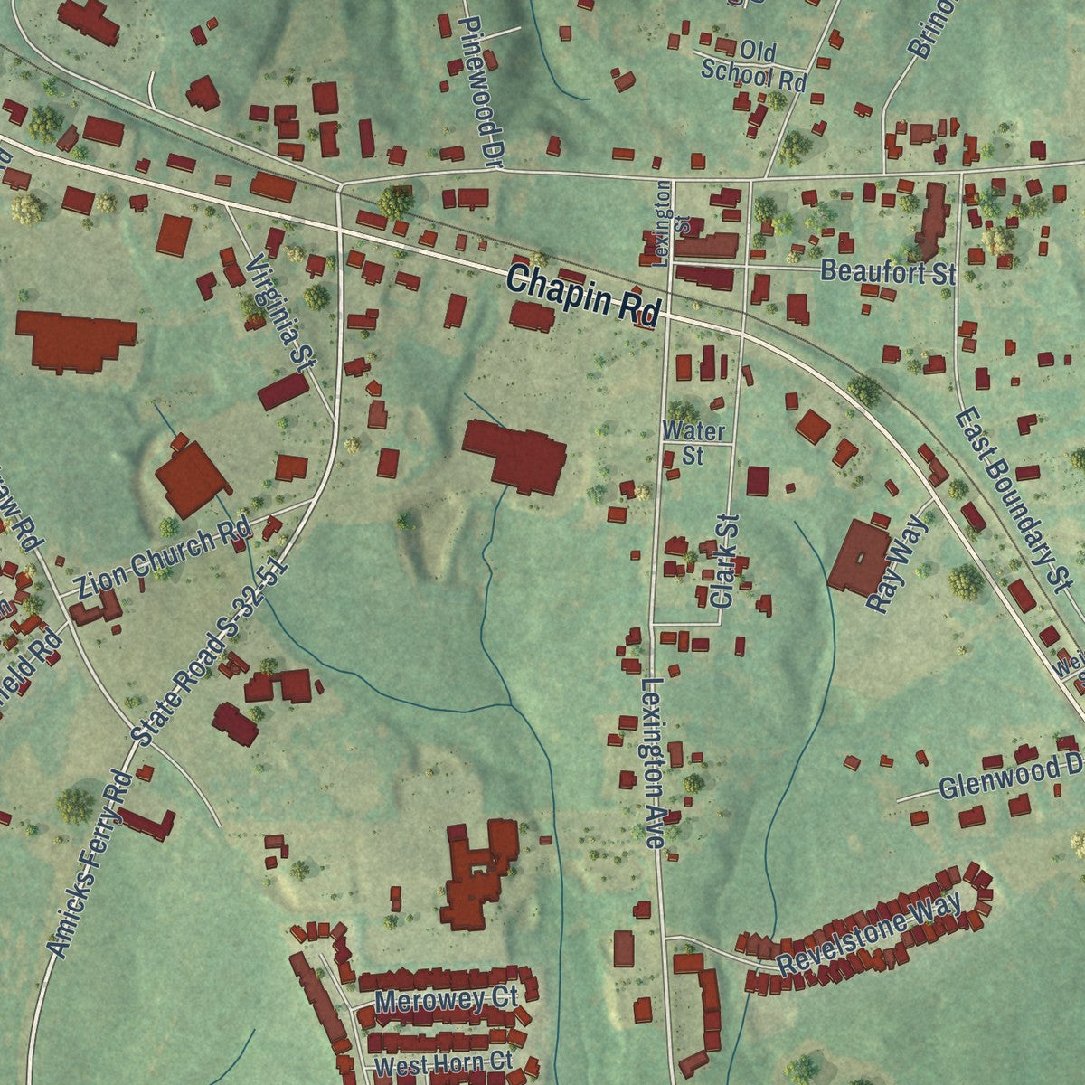 Close-up of the map of Chapin, South Carolina print showing street and building detail