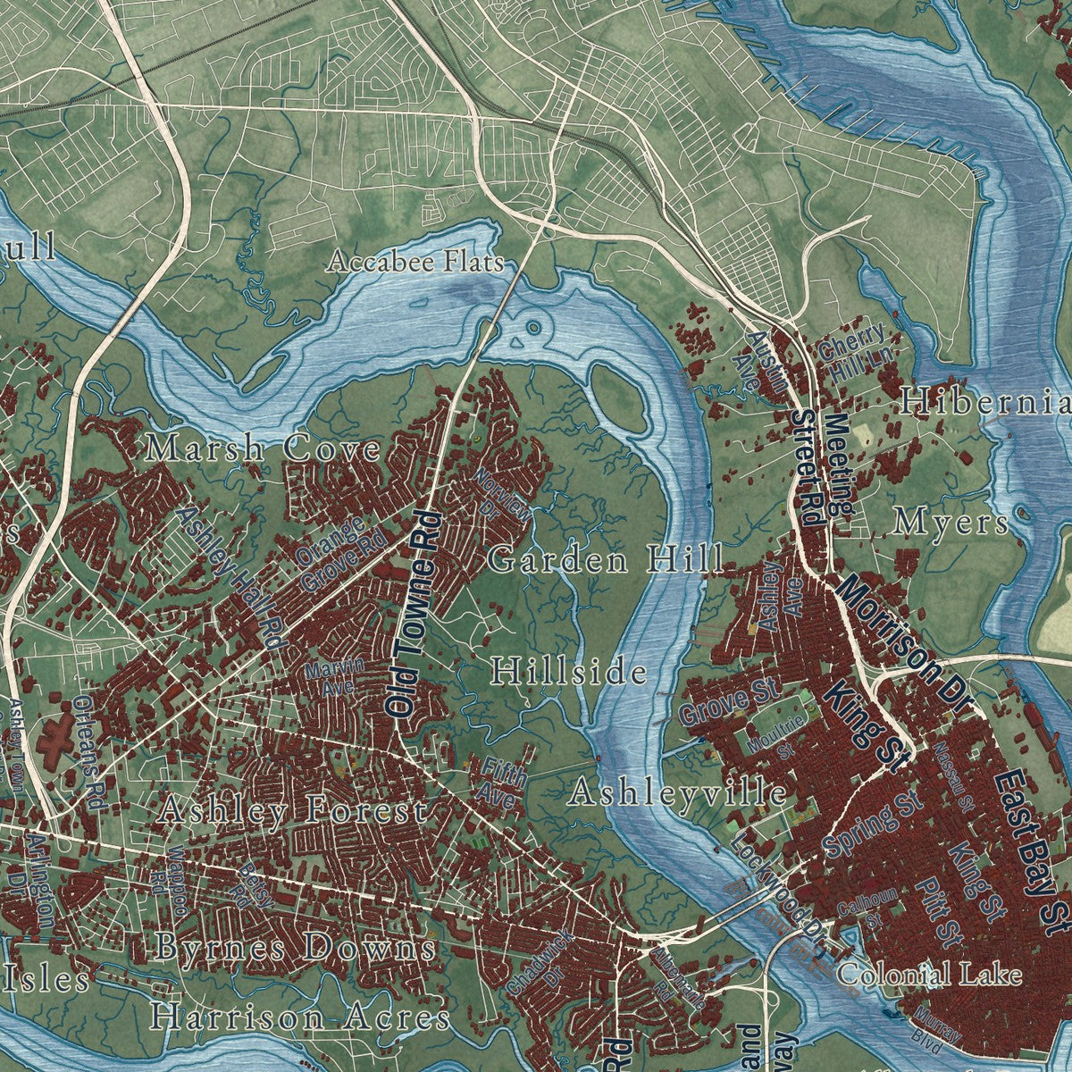 Close-up of the map of Charleston, South Carolina print showing street and building detail