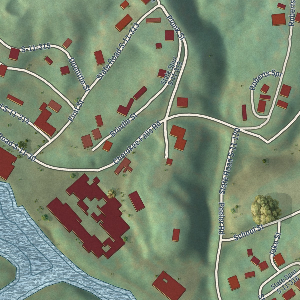 Close-up of the map of Cherokee Falls, South Carolina print showing street and building detail