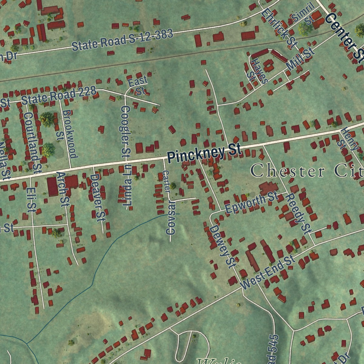Second close-up of the map of Chester, South Carolina print showing more streets and buildings