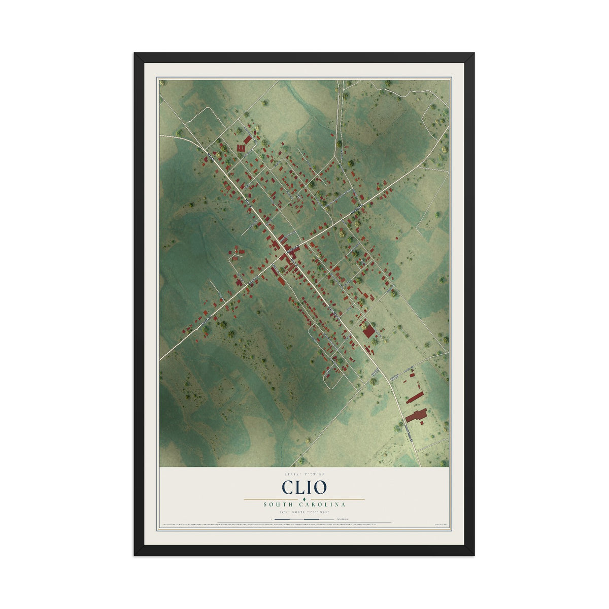 Map of Clio, South Carolina, 12 x 18 inch print in a black wood frame