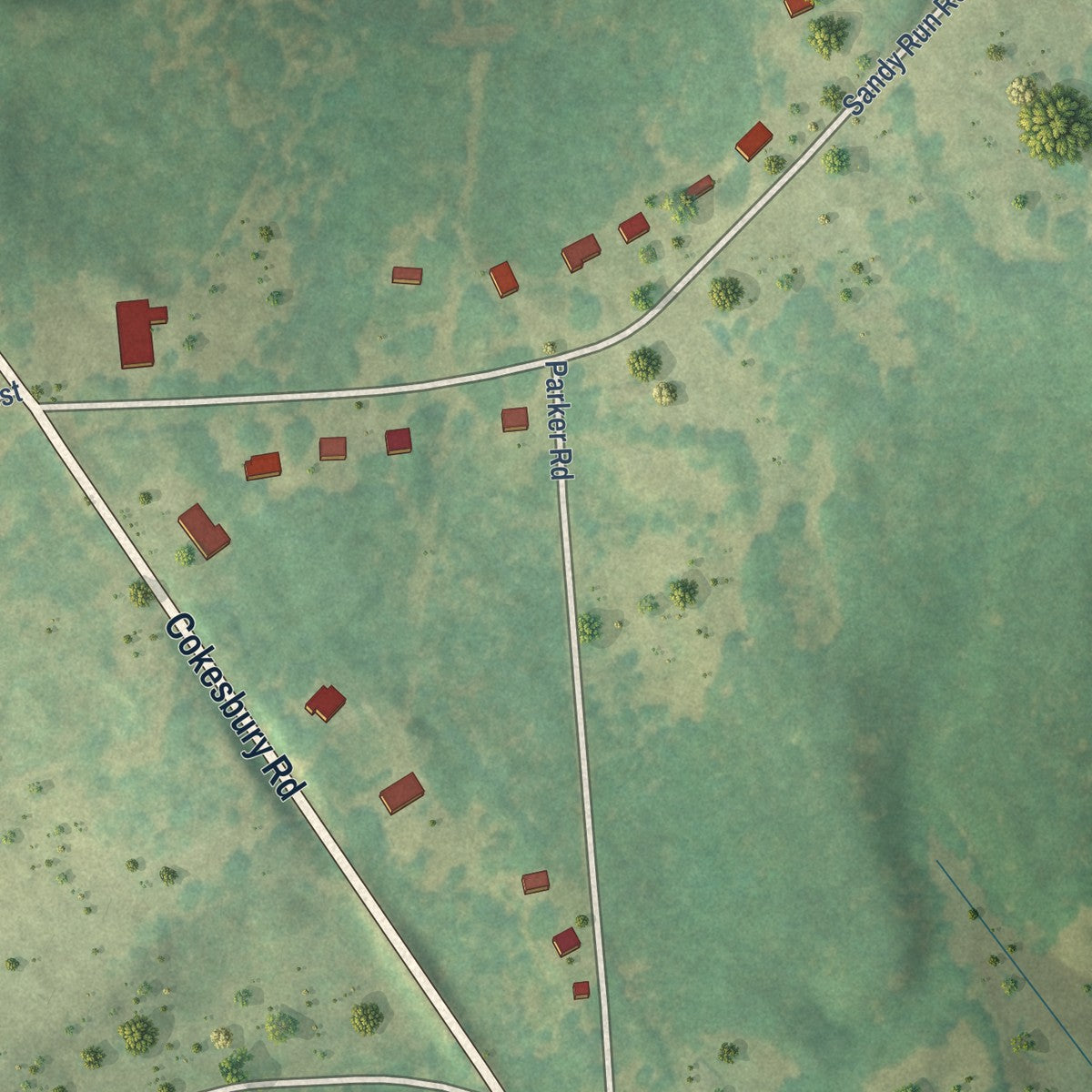 Close-up of the map of Cokesbury, South Carolina print showing street and building detail
