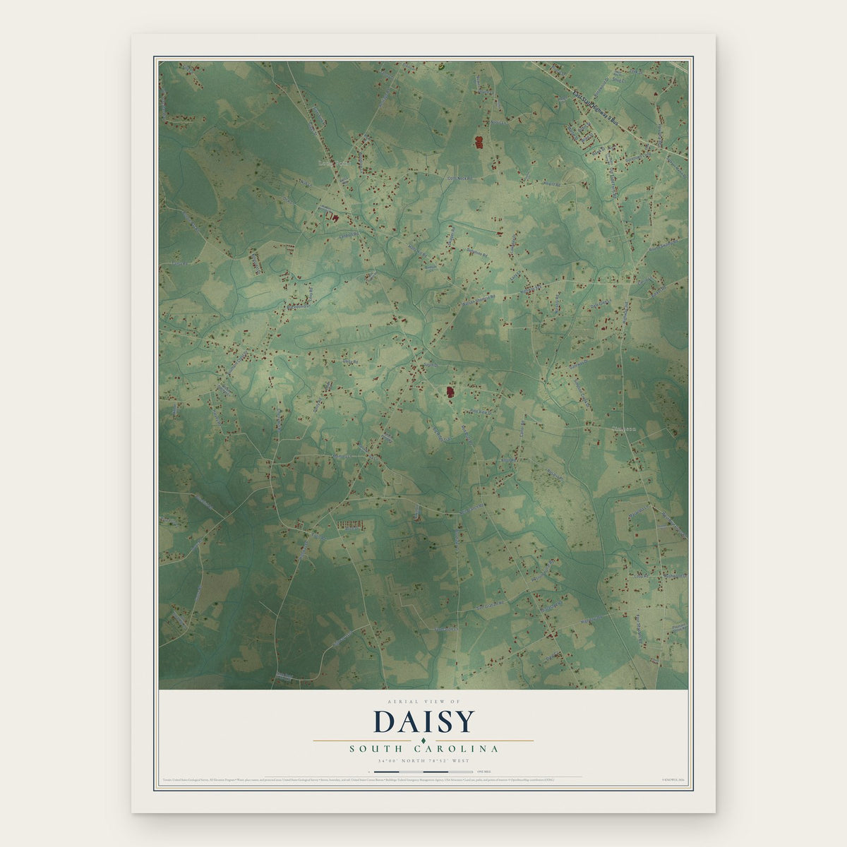 Daisy, South Carolina map print, the full design
