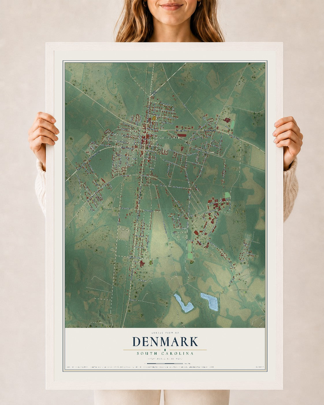Map of Denmark, South Carolina, 24 x 36 inch print in a white wood frame