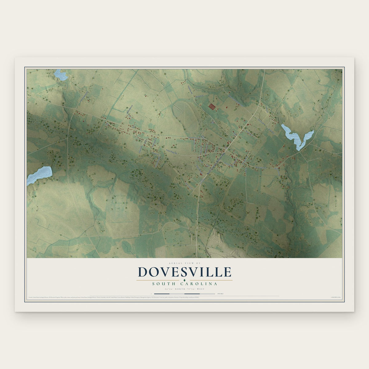 Dovesville, South Carolina map print, the full design