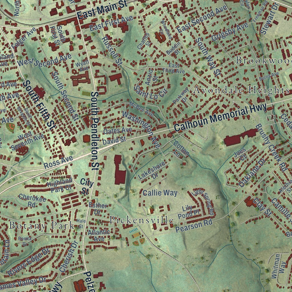 Close-up of the map of Easley, South Carolina print showing street and building detail
