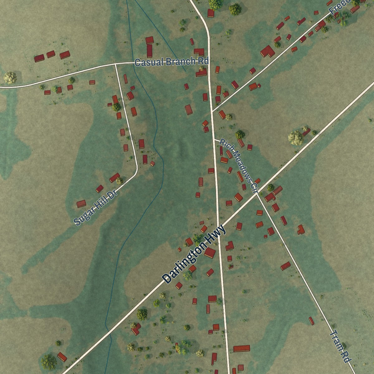 Close-up of the map of Elliott, South Carolina print showing street and building detail