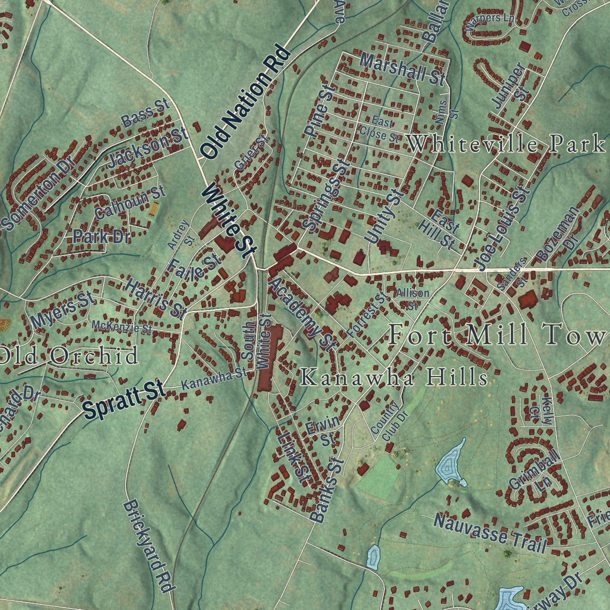 Close-up of the map of Fort Mill, South Carolina print showing street and building detail
