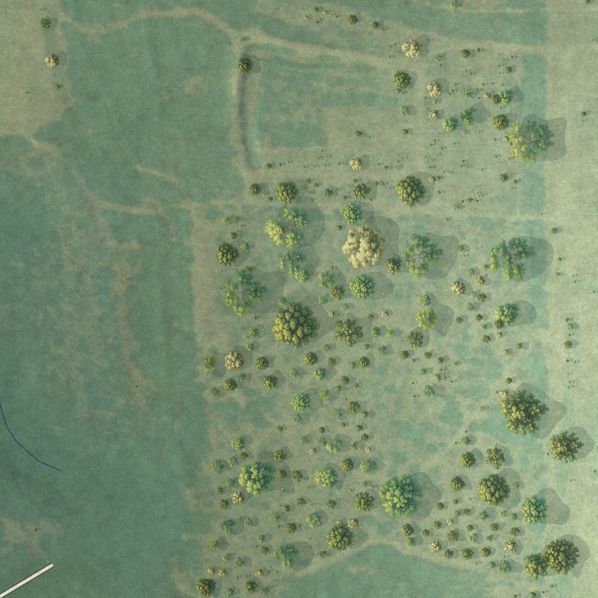 Close-up of the map of Gillisonville, South Carolina print showing street and building detail