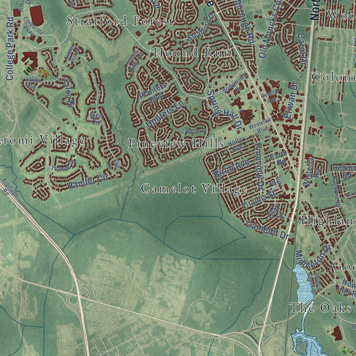 Close-up of the map of Goose Creek, South Carolina print showing street and building detail