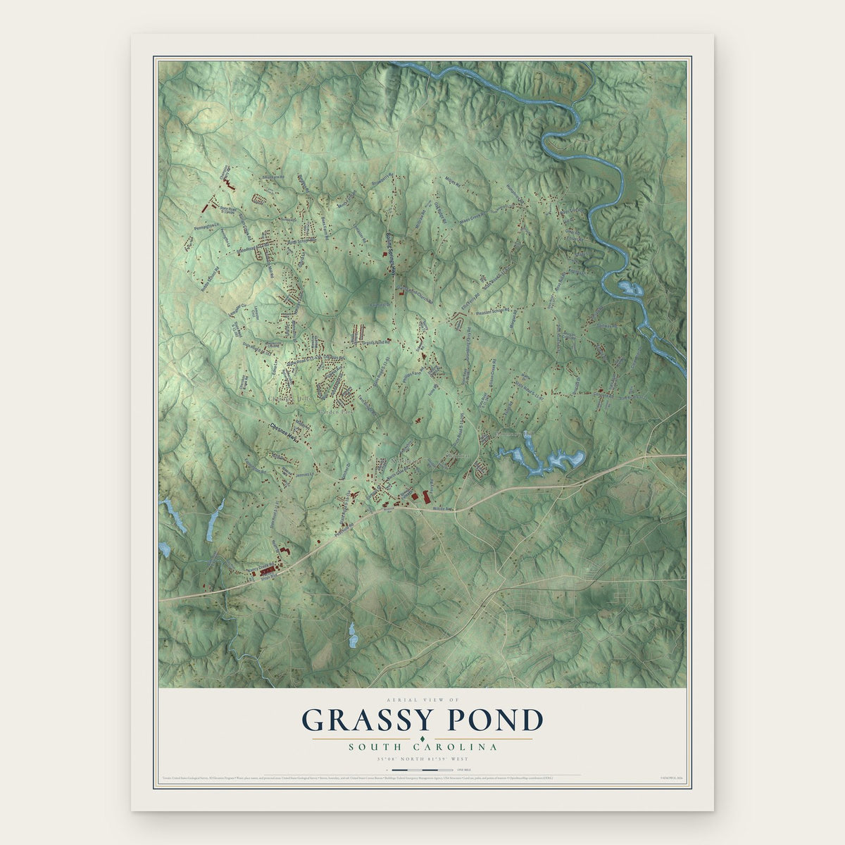 Grassy Pond, South Carolina map print, the full design