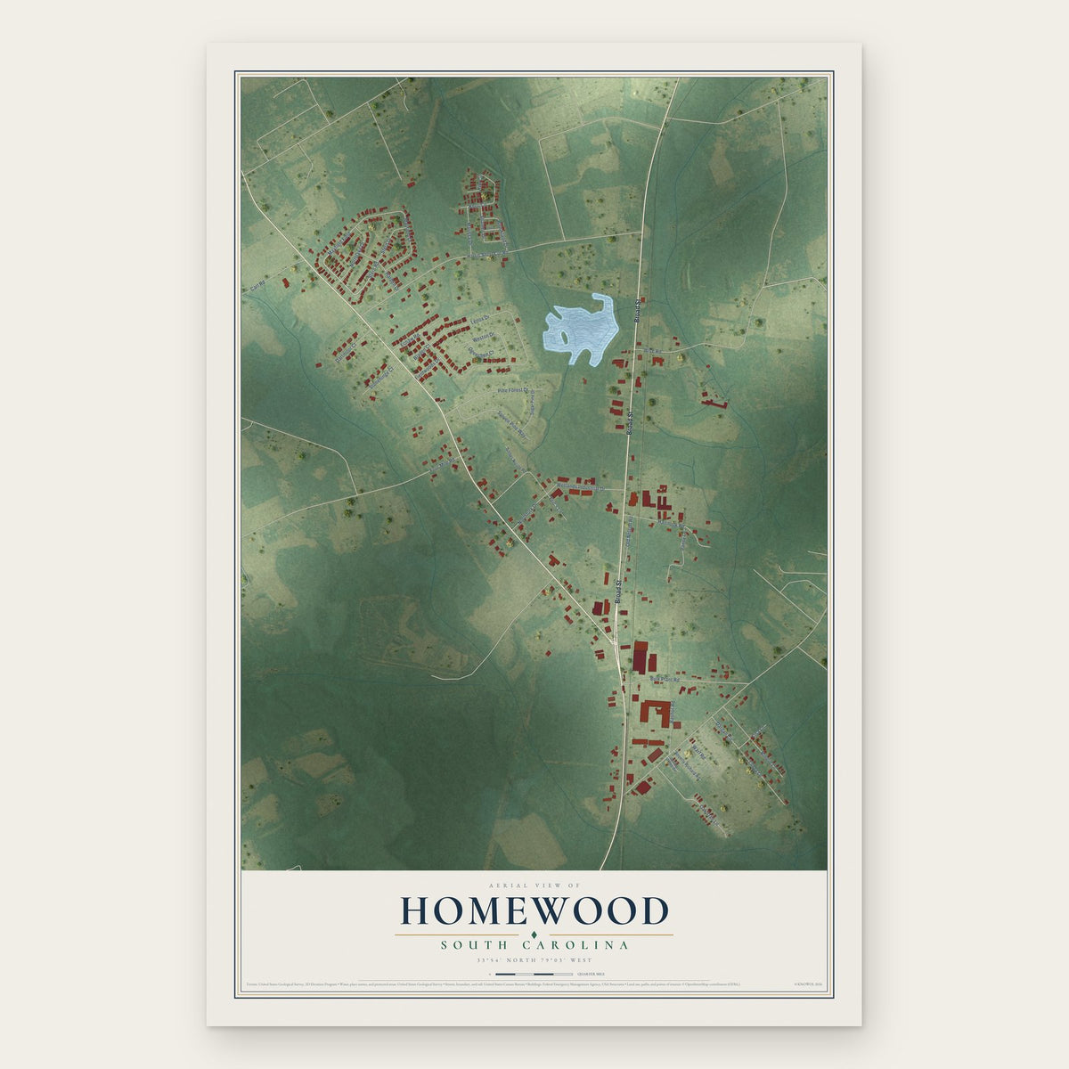 Homewood, South Carolina map print, the full design