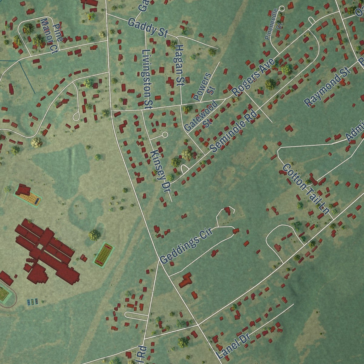 Close-up of the map of Lakewood, South Carolina print showing street and building detail