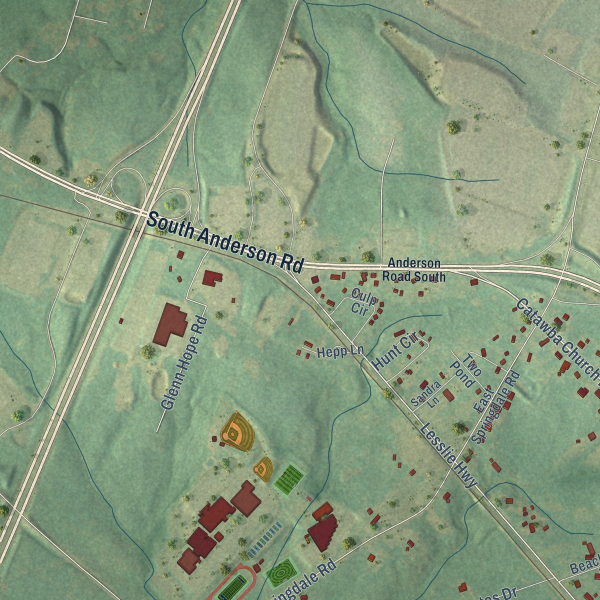 Close-up of the map of Lesslie, South Carolina print showing street and building detail
